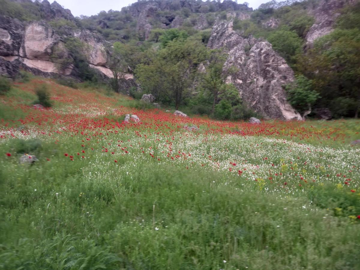 Сhachkari Acomodação com café da manhã Vardzia  Exterior foto